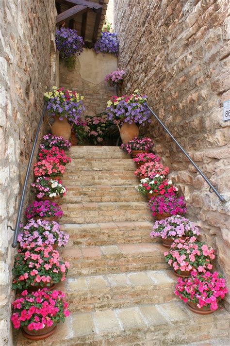 In the past years, people frequently used concrete for How To Decorate The Outdoor Steps With Flower Pots