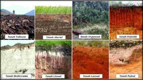 Jenis Jenis Tanah Beserta Karakteristik Dan Sifatnya Cilacap Klik