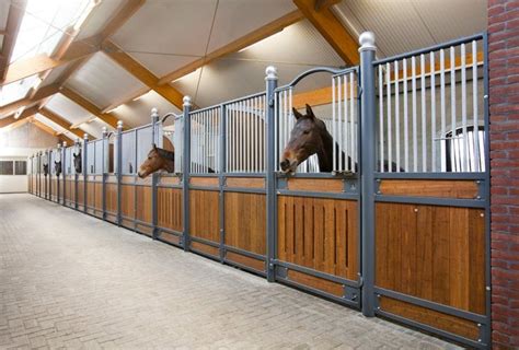 horse stalls horses horse stables