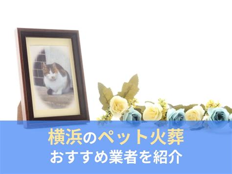 横浜のペット火葬おすすめ10選｜選び方やペットが亡くなった際の流れも解説｜limia リミア
