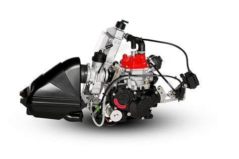 Rotax Fr125 Senior Max Engine Evo Dpe Kart Superstore