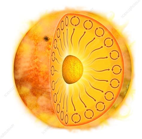 Internal Structure Of The Sun Illustration Stock Image C0403915