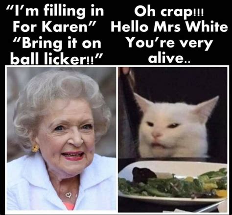 Pin By Michelle Stewart On Smudge The Cat Funny Memes Really Funny