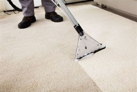 Residential Cleaning Carpet Cleaner