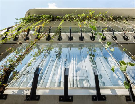 Creating Vertical Gardens And Green Facades With Steel Cables Archdaily