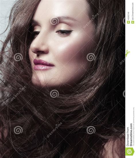 Jolie Brune De Femme Avec Souffler Les Cheveux Sains Image Stock Image Du Soufflement