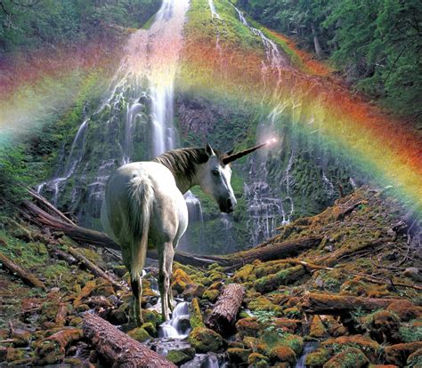 Download Image Life Is Magical With A Real Unicorn