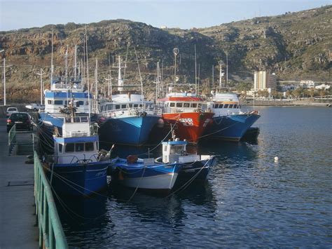 In 2011, machico participated in horipro's 36th talent scout caravan, but lost tadokoro azusa. fotográfico: MACHICO (Madeira)