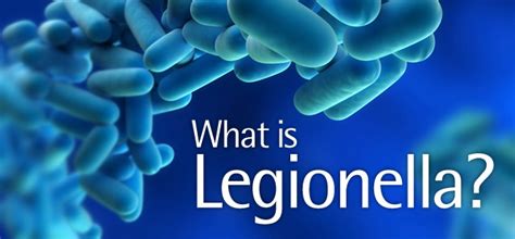 It's caused by the bacterium legionella pneumophila found in both see what's new for the latest on legionnaires' disease. What Is Legionella and Legionnaires Disease?