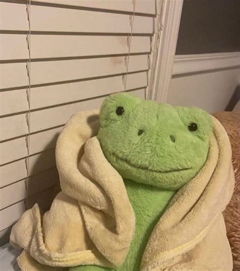 𝐡𝐨𝐧𝐞𝐲_𝐛𝐛𝐲 | Cute frogs, Frog, Green aesthetic