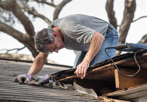 Roof‌ ‌maintenance‌ ‌tips‌ ‌dos‌ ‌and‌ ‌donts‌ Fox Roofing And