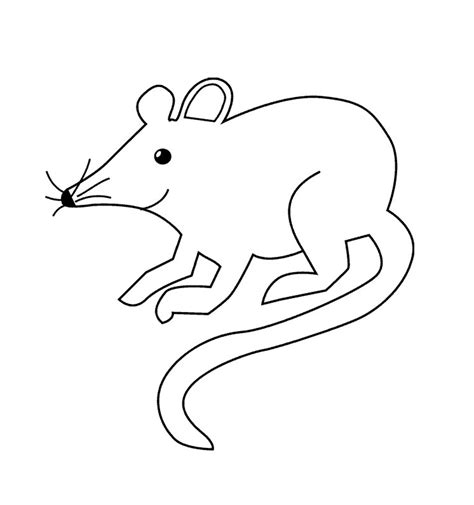 Download Rat Coloring Pages - Kidsuki
