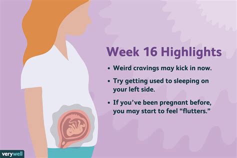 16 Weeks Pregnant Symptoms Baby Development And More