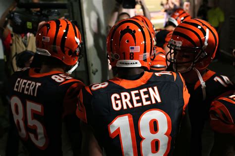 Cincinnati Bengals Hd Wallpaper Background Image 2400x1600 Id