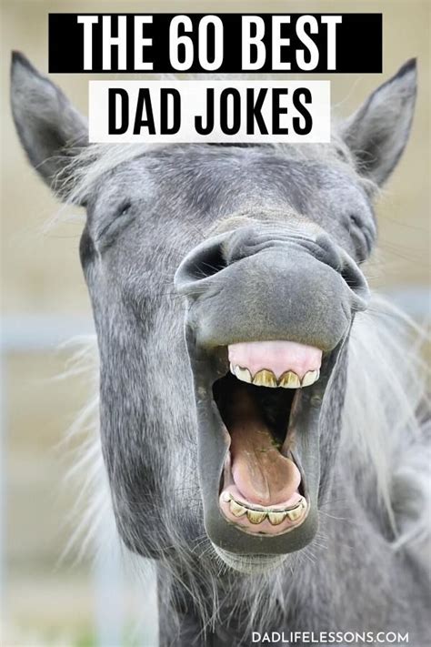 60 Best Dad Jokes So Funny Even The Wife Will Laugh Best Dad Jokes Dad Jokes Funny Jokes