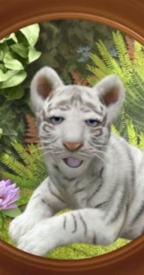 Wonder Pets Save The Bengal Tiger Tv Episode Imdb