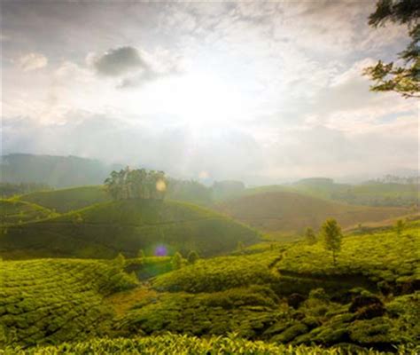 Kerala offers the most breathtaking. Kerala Weather | Climate of Kerala | Holiday Destination