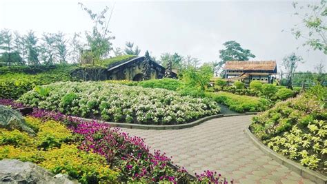 Bandung juga dijuluki seabgai paris van java. Farmhouse Susu Lembang, Desa Romantis Ala Eropa Abad ...