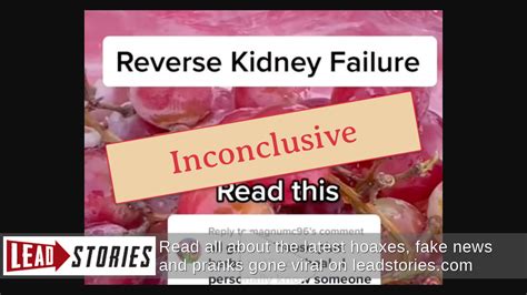 Fact Check No Proof That Heavy Consumption Of Grapes Reverse Kidney