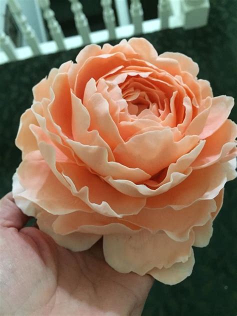 Check spelling or type a new query. Peach Freeform Sugar peony For a wedding cake | Sugar ...