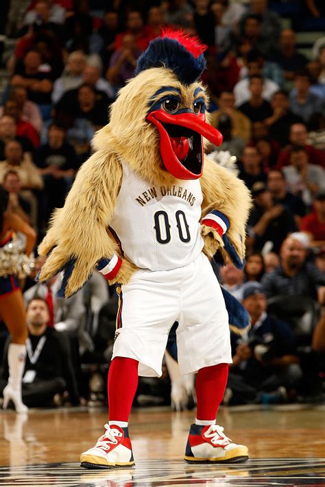 Pelicans Mascot - The pelicans' prior mascot was hugo the hornet, who ...
