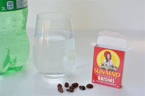 Dancing Raisins Experiment