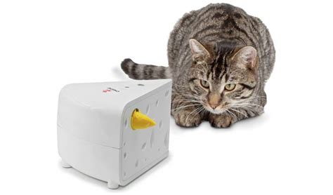 44 cats is an italian preschool animated television series, originally called 44 gatti. Buy PetSafe® FroliCat®CHEESE™ Automatic Cat Teaser | Cat ...