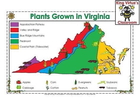 You can see how to get to best cuts on our website. 17 Best images about King Virtue's Classroom on Pinterest ...