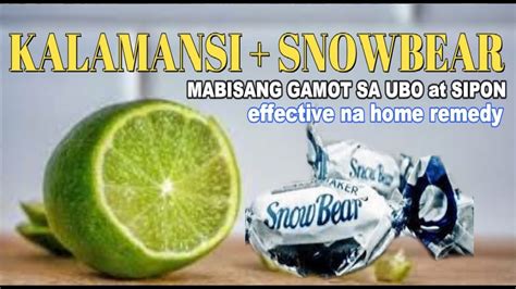 Mabisang Gamot Sa Ubo At Sipon Calamansi At Snowbear Home Remedy For