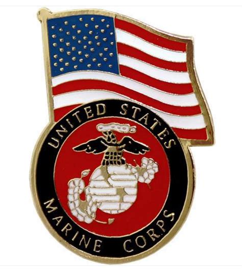 Vanguard Marine Corps Lapel Pin United States Flag With Marine Corps