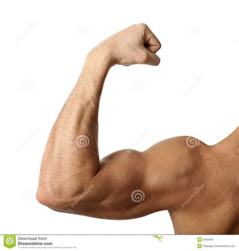 Flexing Biceps Stock Image Image Of Showing Gorgeous 8483461
