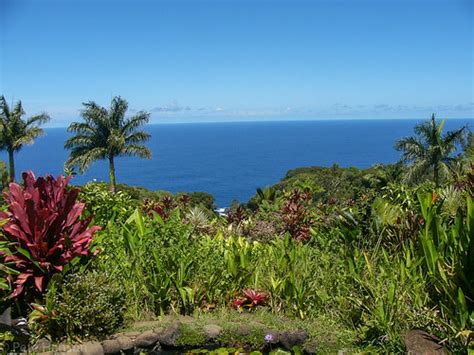 The garden of eden, 1530. Garden of Eden | Garden of Eden Haiku (Maui), Hawaii 03 ...