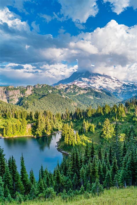 About - Wilkinson Executive Coaching