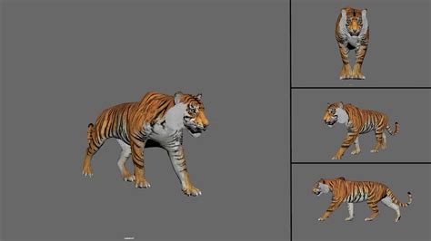 Artstation Tiger Walk Animation Animal Animation 3d Animation