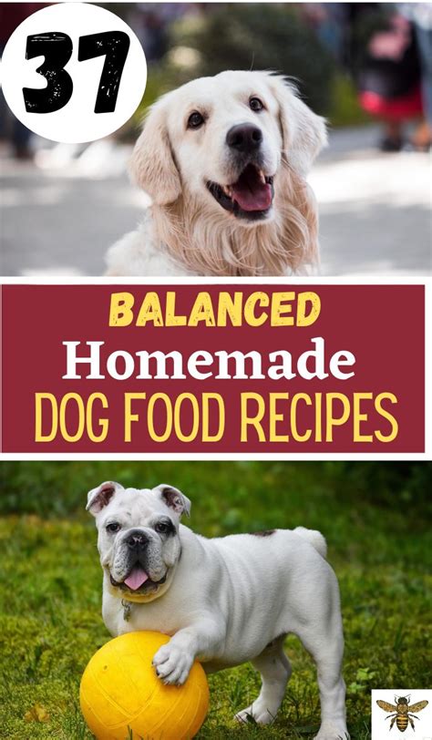 37 Balanced Homemade Dog Food Recipes Gently Sustainable Balanced