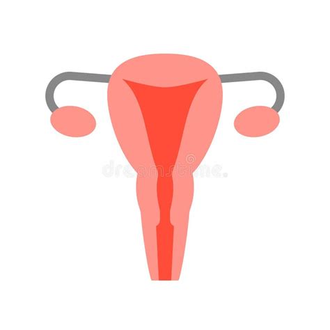 Ovary And Cervix Medical And Hospital Related Flat Design Icon Stock Vector Illustration Of