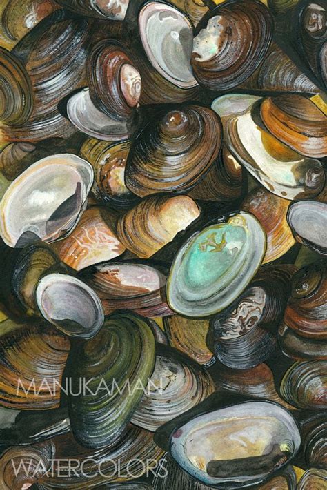 Cape Cod Kettle Pond Freshwater Mussel Shells Print Of A Etsy