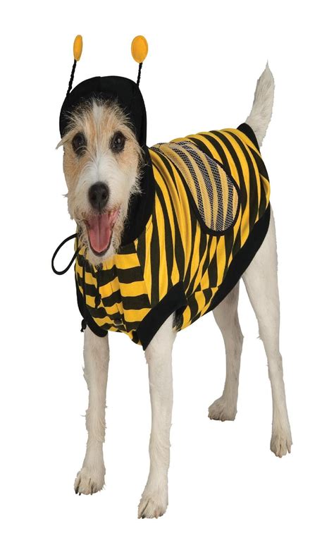 Pet Bumblebee Pet Costume Med Walmart Canada
