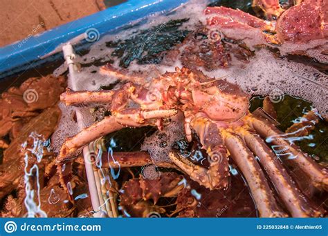 Fresh Japanese Hair Crab King Crab Of Hokkaido Japan Stock Photo