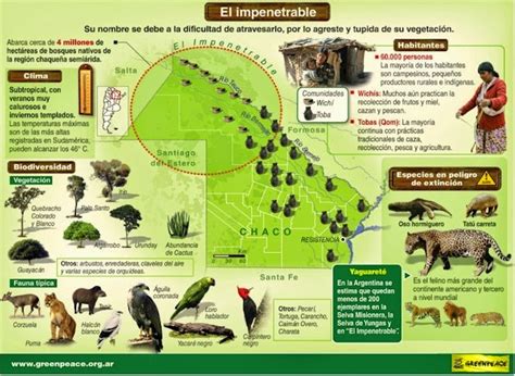 Geogreco 4º Año B Y D