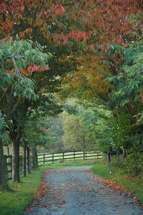 Explore guest reviews and book the perfect motel for your trip. Autumn in The Lake District's best Self Catering Cottages ...