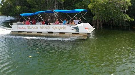 Jamaica Ys Falls Og Black River Safari Day Tour Getyourguide