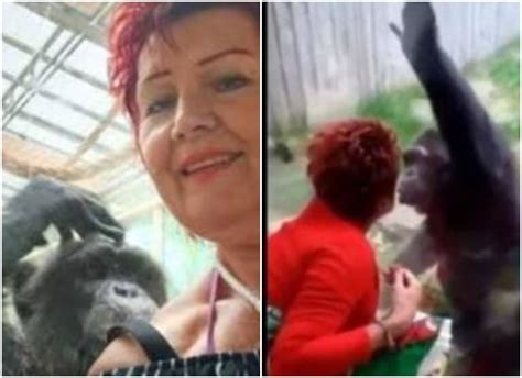Woman Banned From Zoo For Having An ‘affair With Chimpanzee