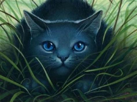 Kit to leader remix by blacktailwarriorcats. Warrior Cats: Dein Leben als 2. Anführer des DonnerClans