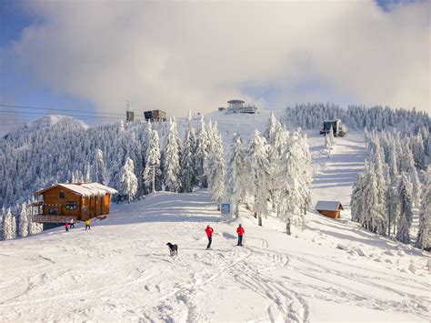 Fun Ski Trips In Romania Romaniatourstore