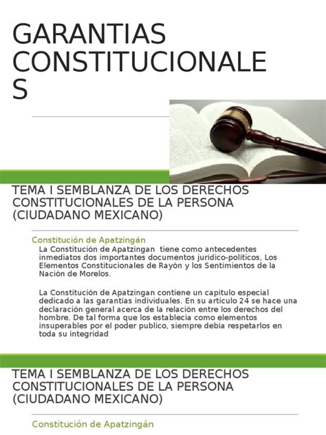 Garantias Constitucionales Pdf Derecho Constitucional Constitución