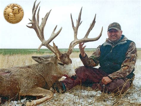 Boone And Crockett Mule Deer Minimum The Deer Hunting