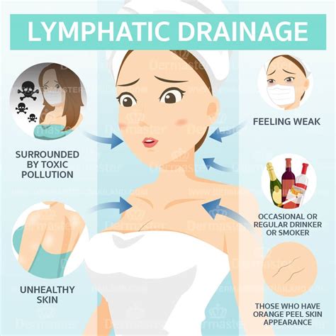 Lymphatic Drainage Remove Toxins From The Body Dermaster