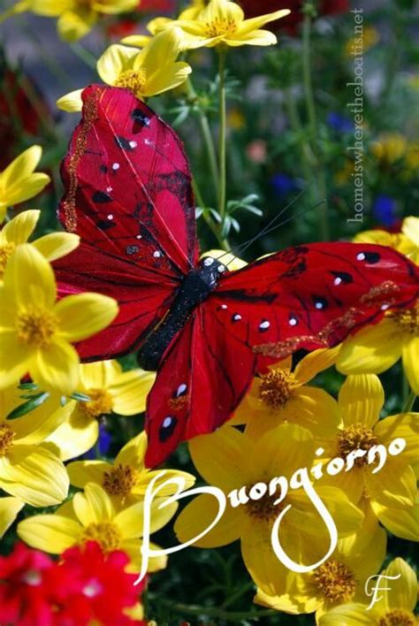 Simple Science: How to Make a Volcano with Kids