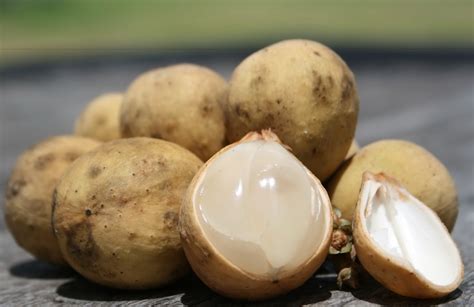 Health Benefits Of Langsat Lanzones For Beauty And Body Health